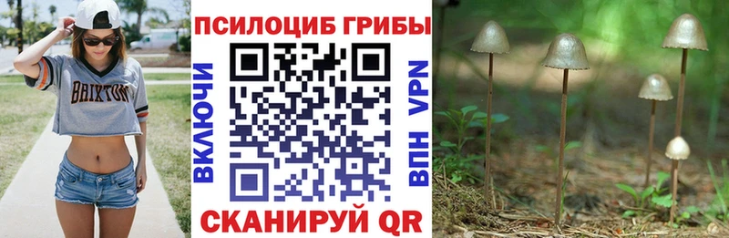 блэк спрут как войти  Радужный  Галлюциногенные грибы мухоморы  где купить наркоту 